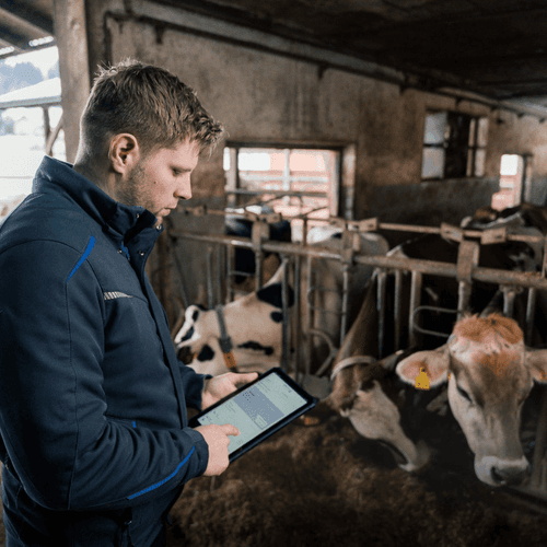 MooHero - CPZ Cattle Connection, Saving Farmers Time